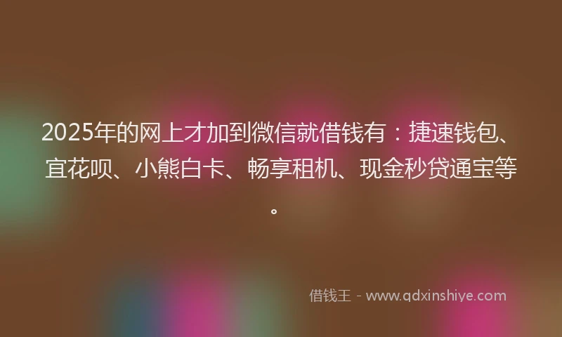 2025年的网上才加到微信就借钱有：捷速钱包、宜花呗、小熊白卡、畅享租机、现金秒贷通宝等。