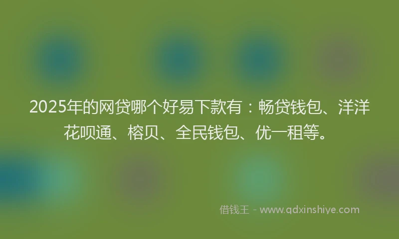 2025年的网贷哪个好易下款有：畅贷钱包、洋洋花呗通、榕贝、全民钱包、优一租等。