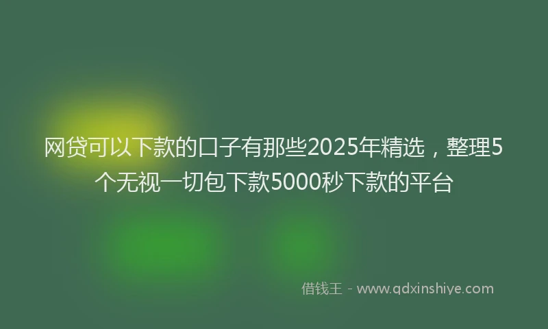 网贷可以下款的口子有那些2025年精选，整理5个无视一切包下款5000秒下款的平台