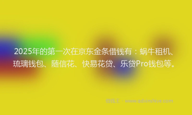 2025年的第一次在京东金条借钱有：蜗牛租机、琉璃钱包、随信花、快易花贷、乐贷Pro钱包等。