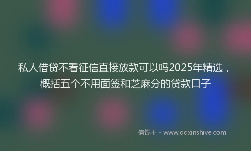 私人借贷不看征信直接放款可以吗2025年精选，概括五个不用面签和芝麻分的贷款口子