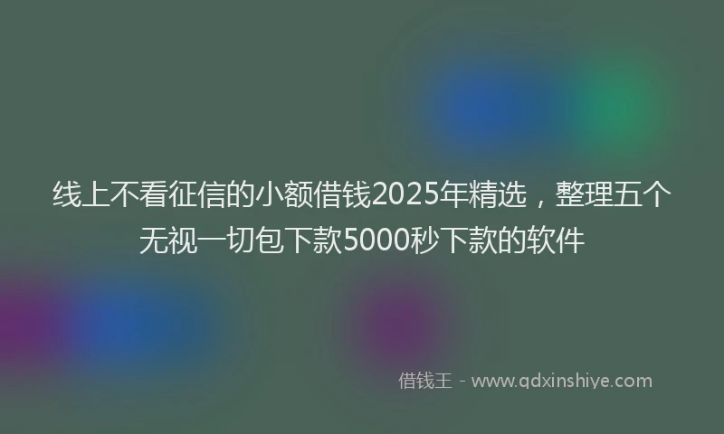 线上不看征信的小额借钱2025年精选，整理五个无视一切包下款5000秒下款的软件