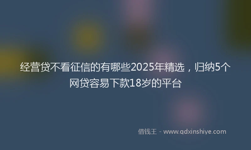 经营贷不看征信的有哪些2025年精选，归纳5个网贷容易下款18岁的平台