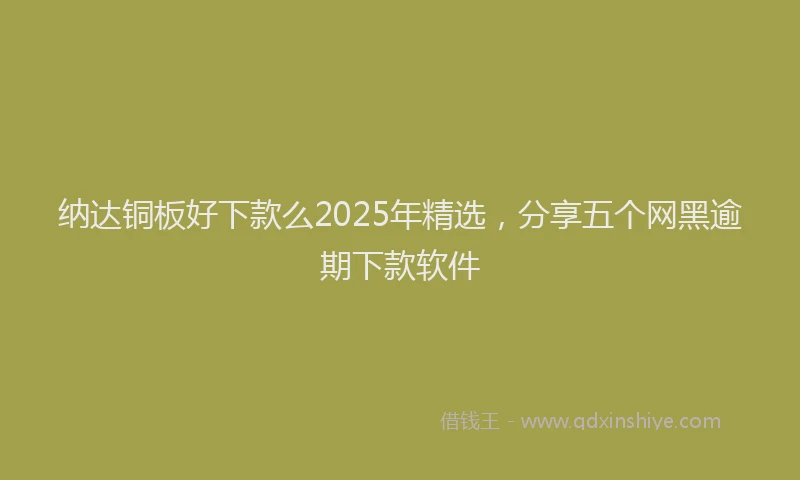 纳达铜板好下款么2025年精选，分享五个网黑逾期下款软件