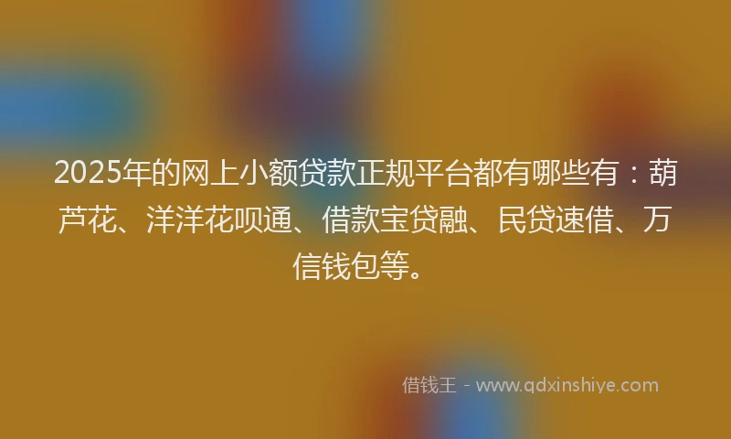2025年的网上小额贷款正规平台都有哪些有：葫芦花、洋洋花呗通、借款宝贷融、民贷速借、万信钱包等。
