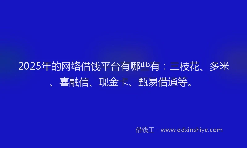 2025年的网络借钱平台有哪些有：三枝花、多米、喜融信、现金卡、甄易借通等。