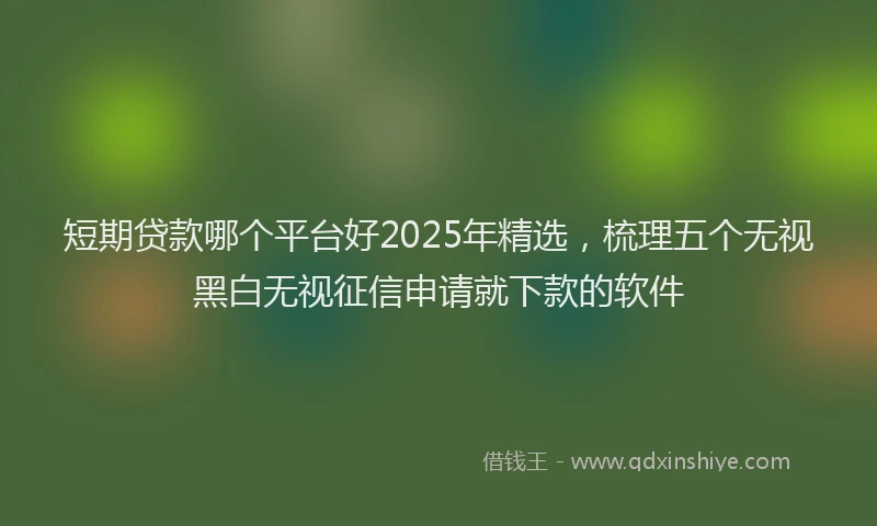 短期贷款哪个平台好2025年精选，梳理五个无视黑白无视征信申请就下款的软件