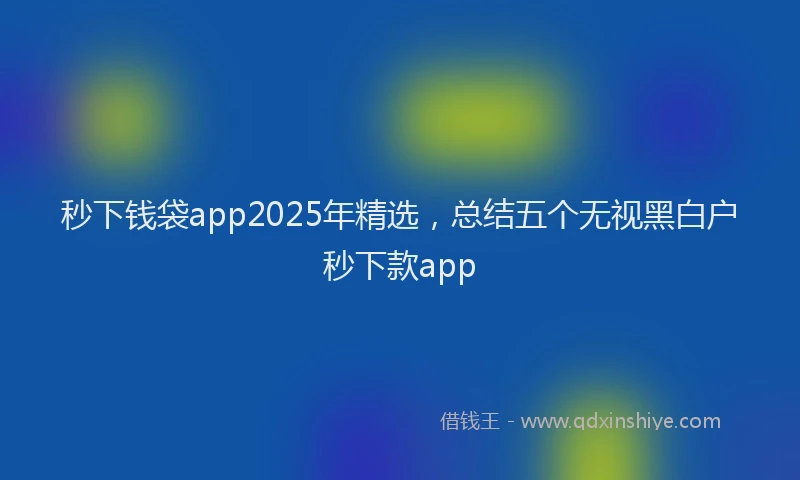 秒下钱袋app2025年精选，总结五个无视黑白户秒下款app