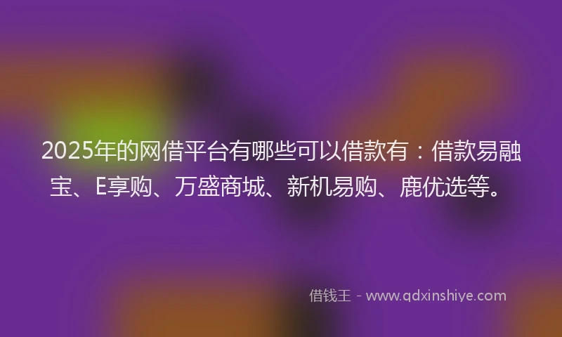 2025年的网借平台有哪些可以借款有：借款易融宝、E享购、万盛商城、新机易购、鹿优选等。