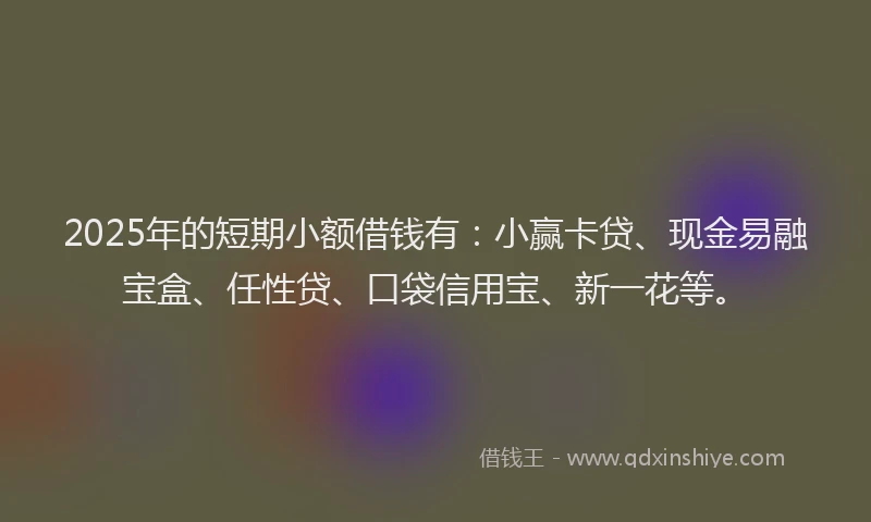 2025年的短期小额借钱有：小赢卡贷、现金易融宝盒、任性贷、口袋信用宝、新一花等。