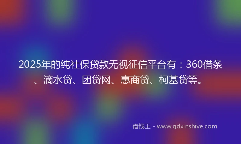 2025年的纯社保贷款无视征信平台有：360借条、滴水贷、团贷网、惠商贷、柯基贷等。