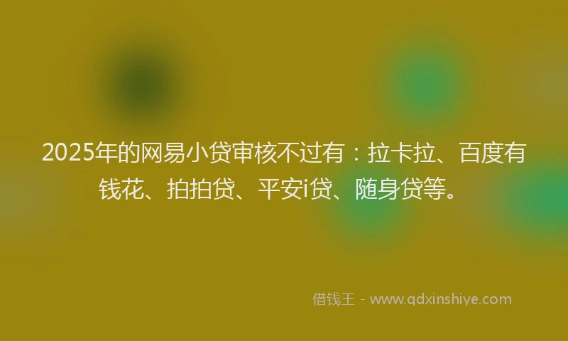 2025年的网易小贷审核不过有：拉卡拉、百度有钱花、拍拍贷、平安i贷、随身贷等。