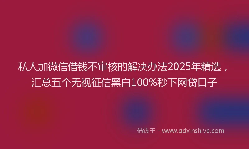 私人加微信借钱不审核的解决办法2025年精选，汇总五个无视征信黑白100%秒下网贷口子