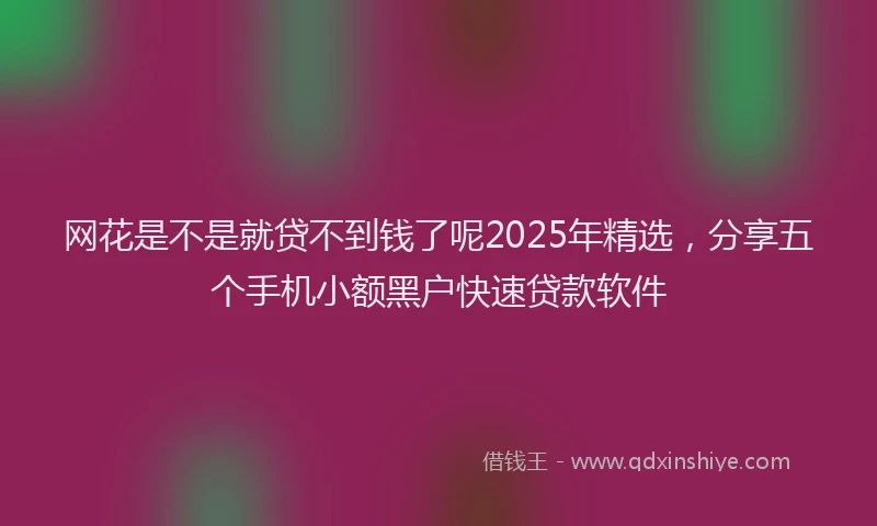 网花是不是就贷不到钱了呢2025年精选，分享五个手机小额黑户快速贷款软件