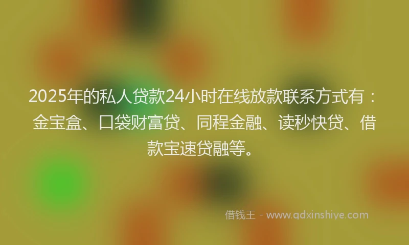 2025年的私人贷款24小时在线放款联系方式有：金宝盒、口袋财富贷、同程金融、读秒快贷、借款宝速贷融等。