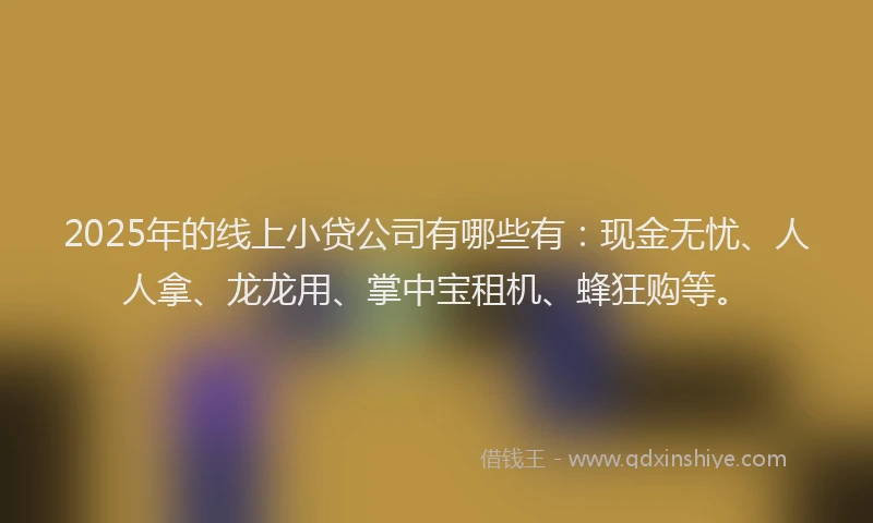 2025年的线上小贷公司有哪些有：现金无忧、人人拿、龙龙用、掌中宝租机、蜂狂购等。