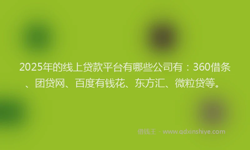 2025年的线上贷款平台有哪些公司有：360借条、团贷网、百度有钱花、东方汇、微粒贷等。