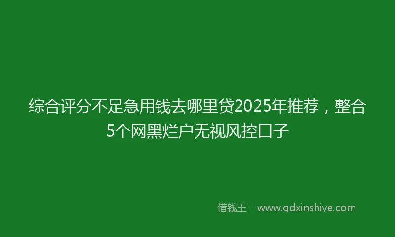 综合评分不足急用钱去哪里贷2025年推荐，整合5个网黑烂户无视风控口子