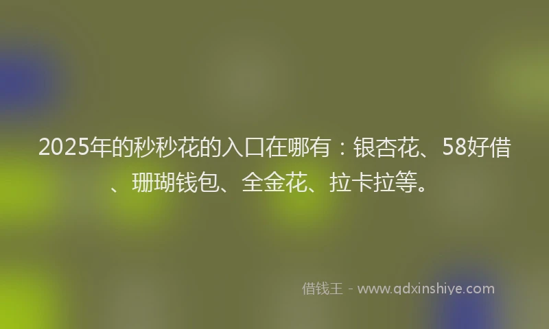 2025年的秒秒花的入口在哪有：银杏花、58好借、珊瑚钱包、全金花、拉卡拉等。