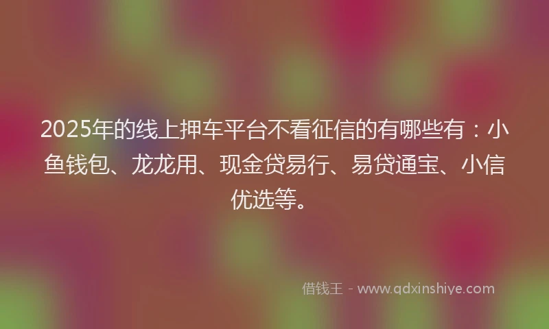 2025年的线上押车平台不看征信的有哪些有：小鱼钱包、龙龙用、现金贷易行、易贷通宝、小信优选等。
