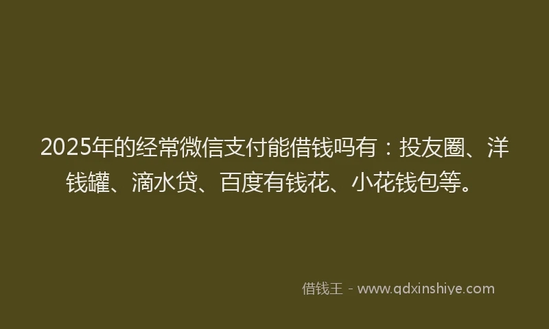 2025年的经常微信支付能借钱吗有：投友圈、洋钱罐、滴水贷、百度有钱花、小花钱包等。