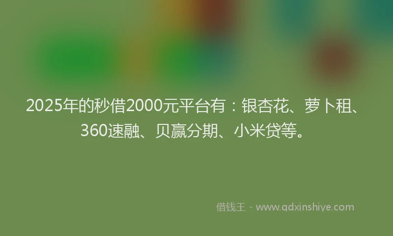 2025年的秒借2000元平台有：银杏花、萝卜租、360速融、贝赢分期、小米贷等。