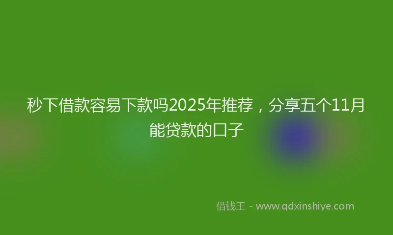秒下借款容易下款吗2025年推荐，分享五个11月能贷款的口子