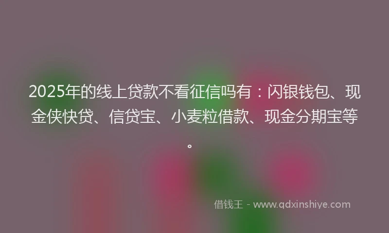 2025年的线上贷款不看征信吗有：闪银钱包、现金侠快贷、信贷宝、小麦粒借款、现金分期宝等。