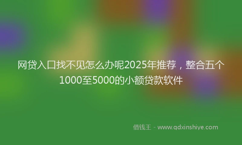网贷入口找不见怎么办呢2025年推荐，整合五个1000至5000的小额贷款软件