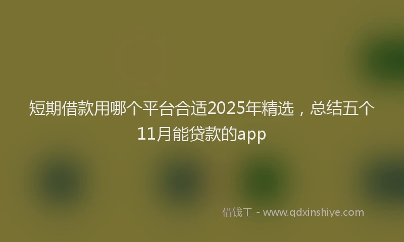 短期借款用哪个平台合适2025年精选，总结五个11月能贷款的app