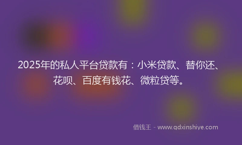 2025年的私人平台贷款有：小米贷款、替你还、花呗、百度有钱花、微粒贷等。