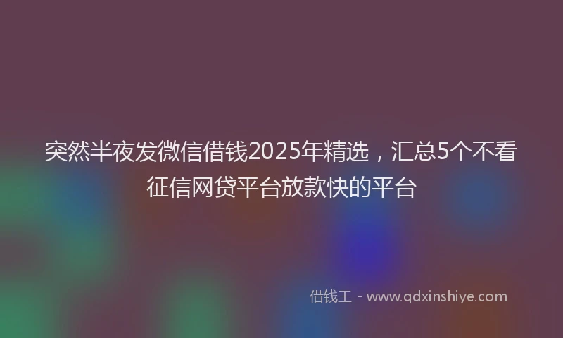 突然半夜发微信借钱2025年精选，汇总5个不看征信网贷平台放款快的平台