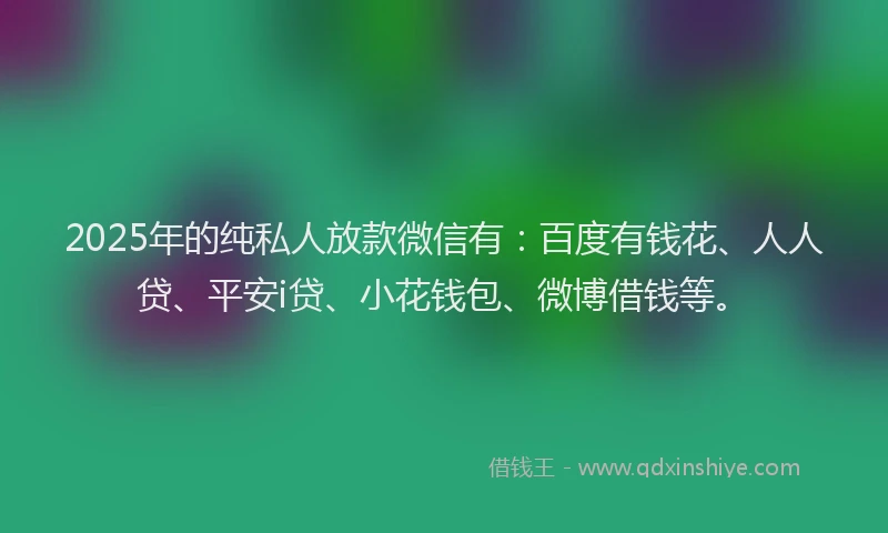 2025年的纯私人放款微信有：百度有钱花、人人贷、平安i贷、小花钱包、微博借钱等。