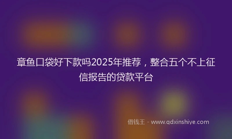 章鱼口袋好下款吗2025年推荐，整合五个不上征信报告的贷款平台