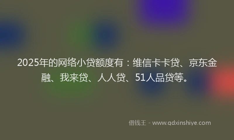 2025年的网络小贷额度有：维信卡卡贷、京东金融、我来贷、人人贷、51人品贷等。