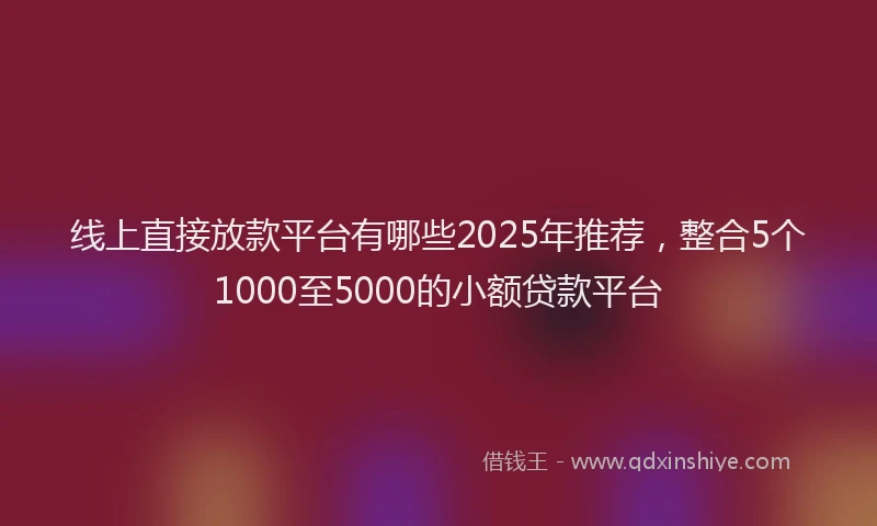 线上直接放款平台有哪些2025年推荐，整合5个1000至5000的小额贷款平台