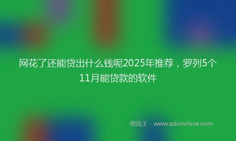 网花了还能贷出什么钱呢2025年推荐，罗列5个11月能贷款的软件