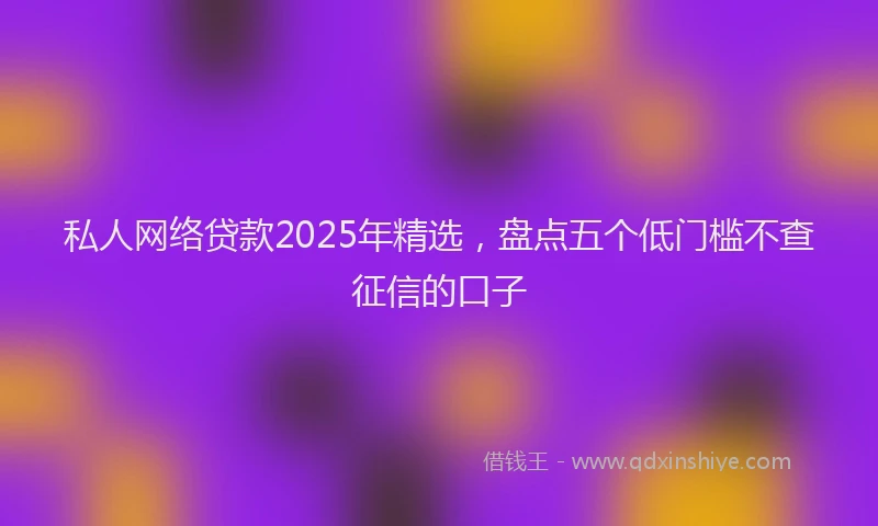私人网络贷款2025年精选，盘点五个低门槛不查征信的口子