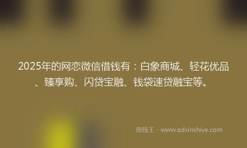 2025年的网恋微信借钱有：白象商城、轻花优品、臻享购、闪贷宝融、钱袋速贷融宝等。