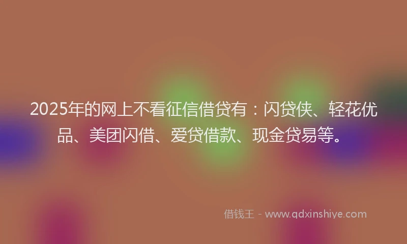 2025年的网上不看征信借贷有：闪贷侠、轻花优品、美团闪借、爱贷借款、现金贷易等。