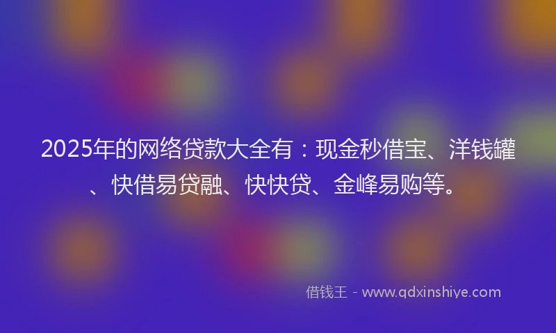 2025年的网络贷款大全有：现金秒借宝、洋钱罐、快借易贷融、快快贷、金峰易购等。