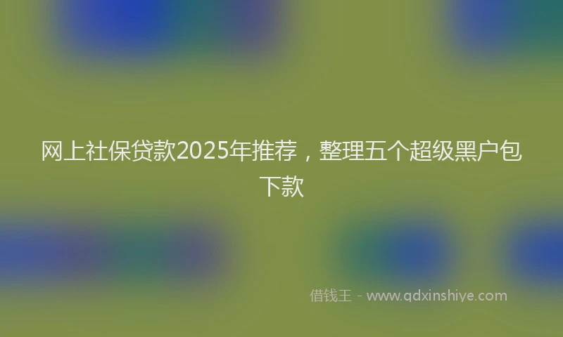网上社保贷款2025年推荐，整理五个超级黑户包下款