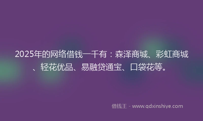 2025年的网络借钱一千有：森泽商城、彩虹商城、轻花优品、易融贷通宝、口袋花等。