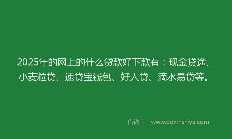 2025年的网上的什么贷款好下款有：现金贷途、小麦粒贷、速贷宝钱包、好人贷、滴水易贷等。