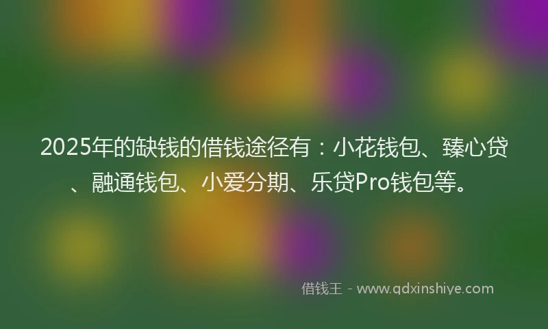 2025年的缺钱的借钱途径有：小花钱包、臻心贷、融通钱包、小爱分期、乐贷Pro钱包等。