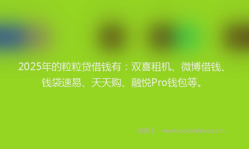 2025年的粒粒贷借钱有：双喜租机、微博借钱、钱袋速易、天天购、融悦Pro钱包等。