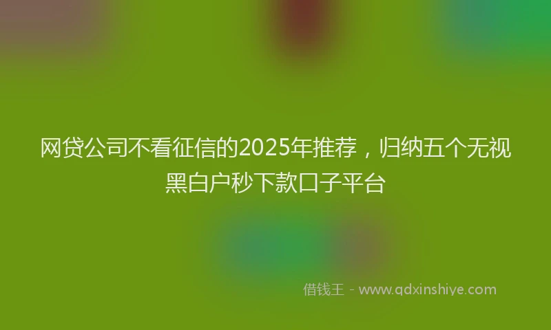 网贷公司不看征信的2025年推荐，归纳五个无视黑白户秒下款口子平台