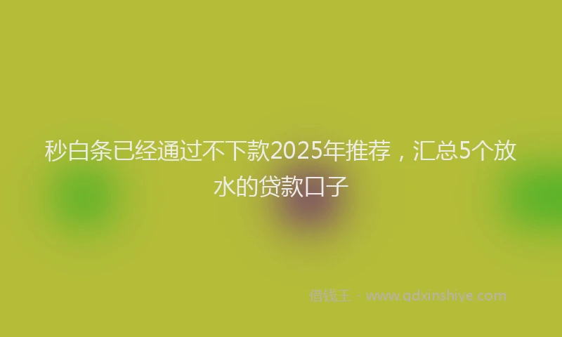 秒白条已经通过不下款2025年推荐，汇总5个放水的贷款口子