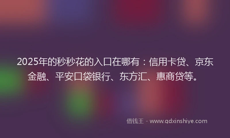 2025年的秒秒花的入口在哪有：信用卡贷、京东金融、平安口袋银行、东方汇、惠商贷等。