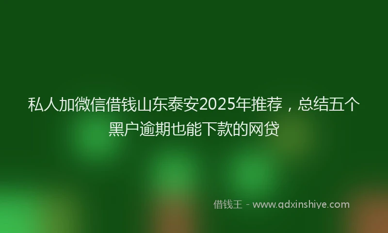 私人加微信借钱山东泰安2025年推荐，总结五个黑户逾期也能下款的网贷